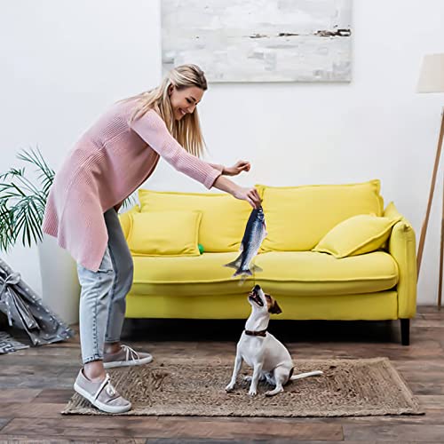 Electric Floppy Fish Cat Toy 11", USB Chargeable Interactive Catnip Toy