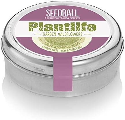 Plantlife Mix - Mix of 600 Native Wildflower Seeds, Perfect For Gardens. Yarrow, Oxeye daisy, Self heal, Meadow buttercup, Red clover. Proceeds Support Plantlife Charity ✿