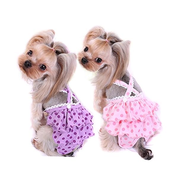 Diaper Dog Sanitary Pantie with Suspender