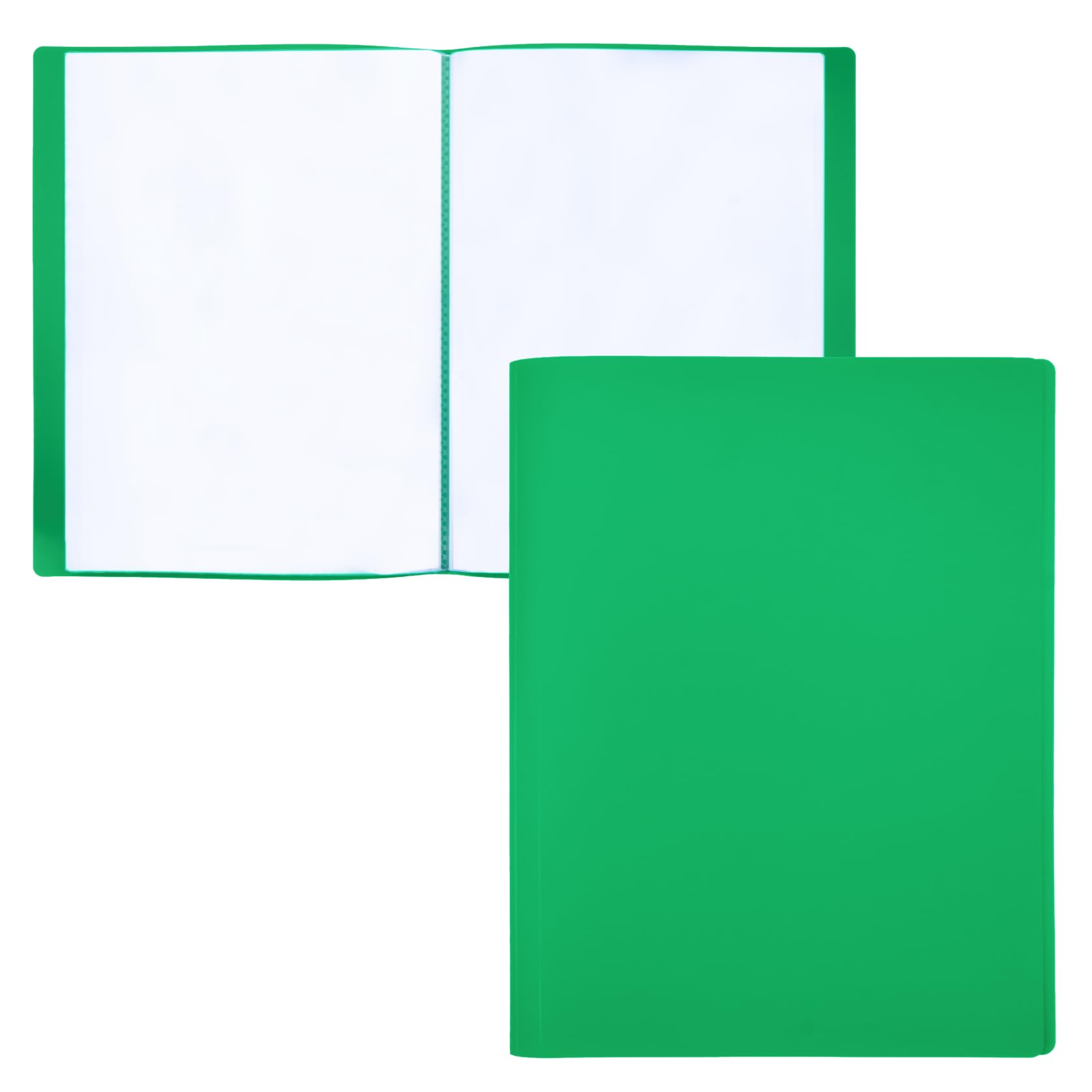 RAYLU PAPER - A4 Document Folder with Clear Sleeves Made of 100% Biodegradable Polypropylene, 30 Clear Document Sleeves for Home and Office (A4, 30 Pockets, Green)