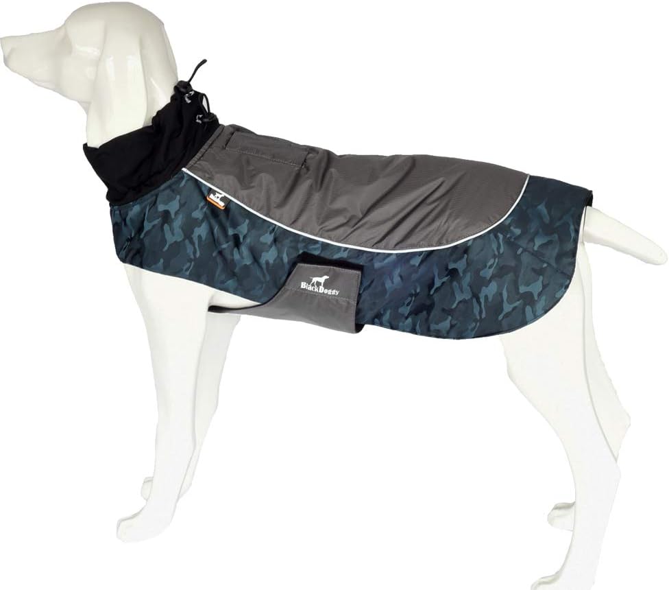 black doggy outdoor jacket