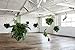 Loose Leaf: Plants - Flowers - Projects - Inspiration