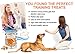Freeze Dried Salmon Dog Treats – All Natural Dog Treats, Healthy Protein, High Value Training – Omega 3-6 Fish Oil - 100% Pure Fish with Skin, Wild Caught - Single Ingredient, Grain Free - Made in USA