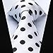 HISDERN White Mens Ties Classic Silk Tie and Pocket Square Formal Business Cool Polka Dot Necktie Handkerchief Elegant Wedding Party Neckties for Men