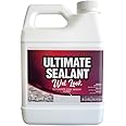 Nanotech Solutions Ultimate Sealant Wet Look- High Gloss Clear Sealer, Water Repellent Coating for Concrete, Masonry, Natural Stone, Slate Tile- UV Resistant, Water-Based, Indoor Outdoor (32 Oz.)