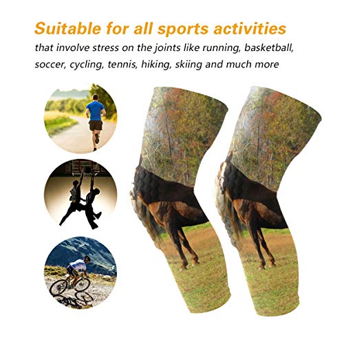 Chu warm Knee Sleeve Pin Horses and Autumn Full Leg Brace Compression Long Sleeves Pads for Meniscus Tear, Arthritis, Running, Workout, Basketball, Sports, Men and Women 1 Pair