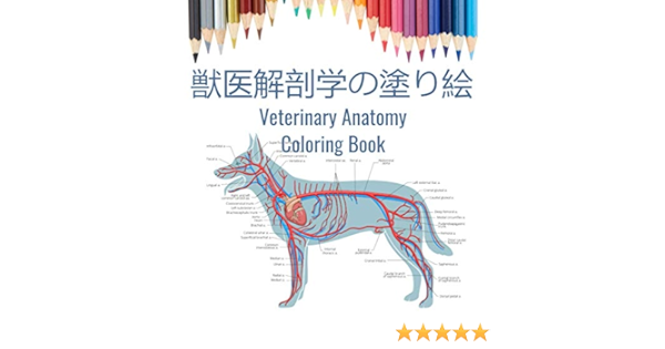 Amazon Com 獣医解剖学の塗り絵 Veterinary Anatomy Coloring Book 獣医学部ギフト 動物解剖学の塗り絵 犬 猫 馬 鳥など Hammond Sam Books