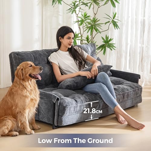 MAXYOYO Adjustable Floor Sofa Bed with 2 Cushions, Multifunctional Ottoman Bed, Folding 5 Position Sofa Bed with Armrests, Versatile Floor Seat for Reading