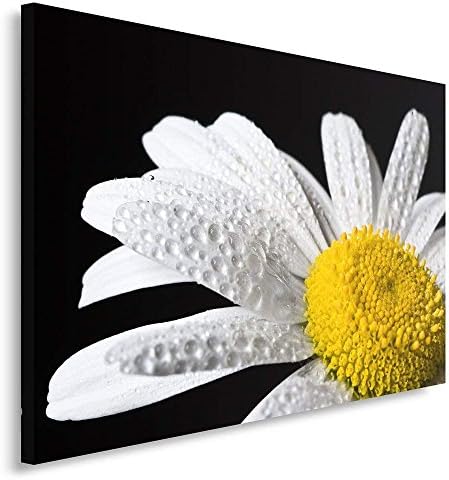 ElijahToby Single Panel Canvas Wall Art Picture Canvas Picture Decorative Picture 30x40 cm Composition Makro Flower Daisies White Yellow Black