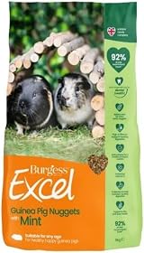 Excel Burgess Guinea Pig Nuggets with Mint 9kg Green Brand New
