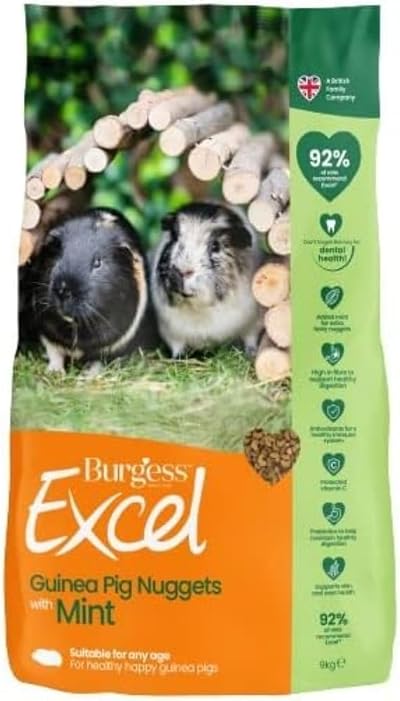Excel Burgess Guinea Pig Nuggets with Mint 9kg Green Brand New