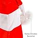 Funny Party Hats Christmas Candy Holiday Theme Santa Hats (Red and White)