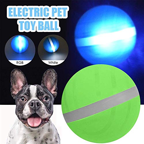 magic rolling ball for cats