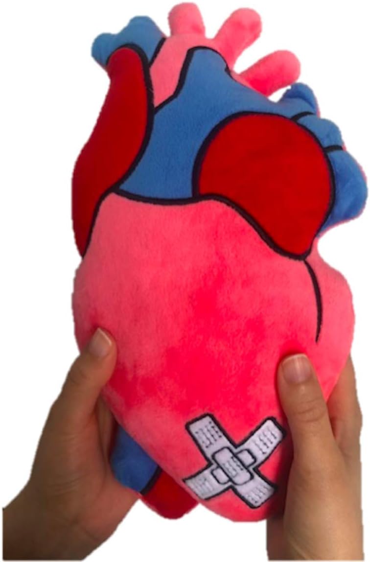 anatomical heart plush