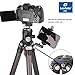 Leofoto LS-284C-LH-30 Tripod Kit LH-30 Carbon Fiber CF 4 Section & 30mm Low Profile Ball Head