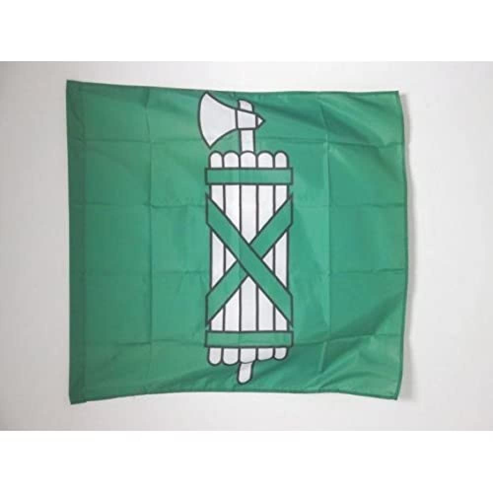 AZ FLAG - Canton of St. Gallen Flag - 3x3 Ft - 100% Polyester St. Gallen - SG Banner with Sleeve - Fade Resistant - Vivid Colors - 3' x 3' Feet - 90x90 Cm