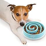 2PET  Slowly Bowly Slow Feed Dog Bowl