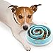2PET  Slowly Bowly Slow Feed Dog Bowl