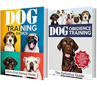 dog agility training basics