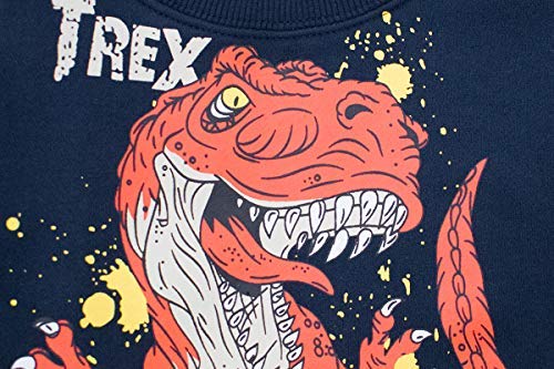 DDSOL Little Boys Cotton Cute Crew Neck Long Sleeve Sweatshirt (2T-11T)