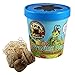 Praying Mantis Egg Case with Hatching Habitat Cup - 3 Praying Mantids Egg Cases primary