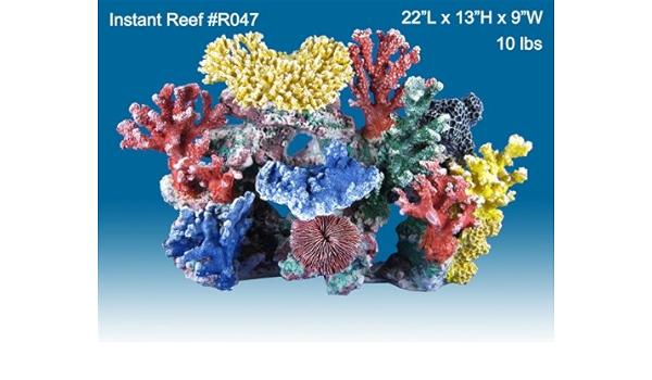 live freshwater coral