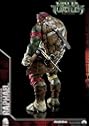 Teenage Mutant Ninja Turtles（ミュータント・タートルズ） Raphael（ラファエロ）|サンプル5