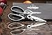 Heavy Duty Kitchen Scissors - Best Stainless Steel Kitchen Shears By Chef Jacques - Multi-Purpose, Large, Super Sharp with Soft Grip Handles - Black (eBook Included)