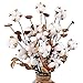 Ageomet 4pcs Cotton Stems 21