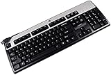 HP KU-0316 DOM Silver Black USB Keyboard 434821-003