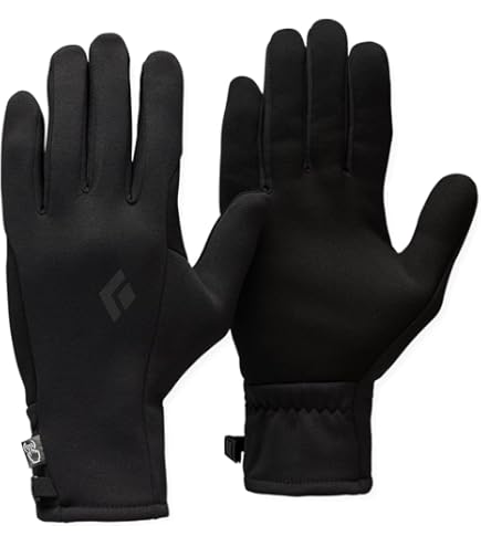 Black Diamond Cold Forge Gloves 黒