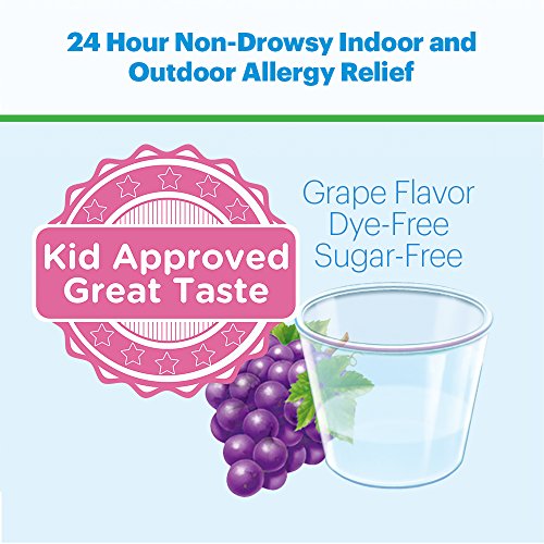 Children's Claritin 24 Hour NonDrowsy Allergy Grape Oral Solution 5 mg
