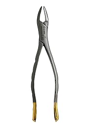 Dental Extracting Extraction Serrated Forceps
