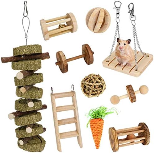 Jhua ハムスター おもちゃ 小動物 噛むおもちゃ ペット おもちゃ 天然 木製 塗料不使用 10点セット ボール ローラー はじご ブランコ 一輪車 にんじん 兎 チンチラ適用 運動不足 ストレス解消 歯磨き Rwenzorisustainable Org