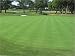 Penncross Bentgrass Seed - 5 Lbs.
