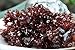 Organic Dulse Leaf, Atlantic Canada, Dark Harbour, non-GMO, Rich in Iodine, Protein, Naturally Harvested (4 ounces)