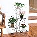 MOUTIK Garden Flower Stand Rack:Plant Pot&Planter Metal Holder with 4 Tiers Corner Decor Display Plant Stand Indoor Outdoor for Garden Home（Bronze