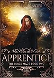 Apprentice (The Black Mage Book 2)