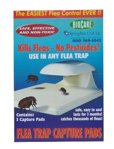 Springstar S103 Biocare Flea Trap Capture Pads, 2 Packs of 3 Pads Per Box, Total 6 Pads