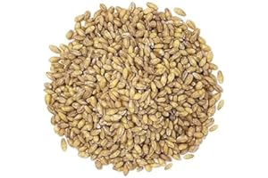 Hulled Barley Whole Grain, 10 kg, High in Fibre and Protein
