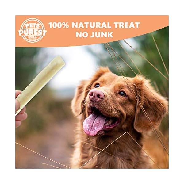 Pets-Purest-Himalayan-Yak-Chew-For-Dogs-5-pack-100-Natural-Yak-Milk-Dental-Chew-For-Puppies-Dogs-Senior-Delicious-Long-Lasting-Cheese-Treat-Cleans-Teeth-Source-of-Protein-Calcium Pets Purest Himalayan Yak Chews with Milk for Dog, Puppy & Senior - 100% Natural Cheese Bone Food Treats - Long Lasting…