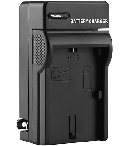 Ayex Caricabatterie Dual USB Con Display LCD Per Batterie Canon LP-E6 - Compatibile Con EOS R, R5, R6, 90D, 80D, 5D Mark IV E Power Bank - Ricarica Veloce Da Laptop O Power Bank - 2