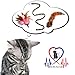 Pet Fit For Life 3 Piece Dual Rod Feather Teaser and Exerciser with a Slithering Snake for Kitten and Cats - Cat Toy Interactive Cat Wand