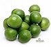 Melissa's Fresh Key Limes, (5 Lb)
