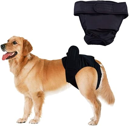 Dog pants for season uk Clearance