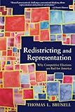 Redistricting and Representation: Why Competitive Elections are Bad for America (Controversies in Electoral Democracy and Representation) cover