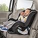 Evenflo Tribute LX Convertible Car Seat, Venusthumb 4