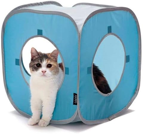 best no kill shelter near me