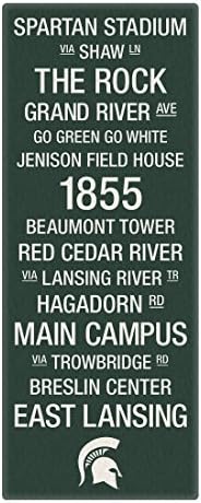 Replay Photos Gallery Wrapped Canvas of Michigan State Color Subway Art