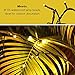 FULLBELL 33ft 100 LED Black String Lights with Memory Function - Indoor/Outdoor Fairy Lights for Christmas Tree, Party, Garden, Home - Extendable Warm White LED String Lights (Xmas Decor)